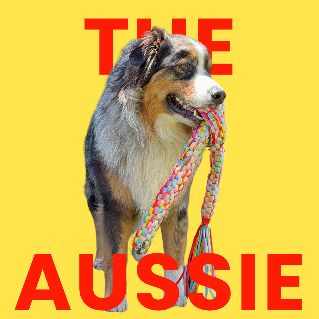 THE AUSSIE