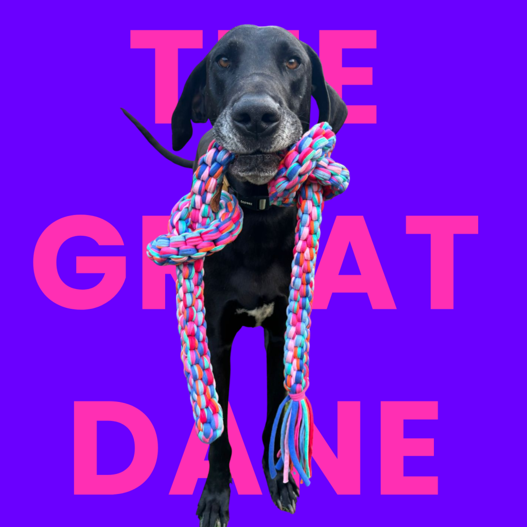 THE GREAT DANE